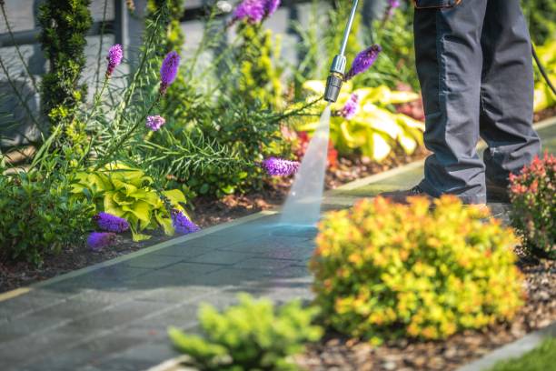 Best Restaurant Pressure Washing  in Butler, IN
