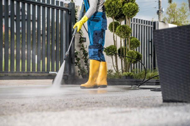 Best Roof Washing  in Butler, IN